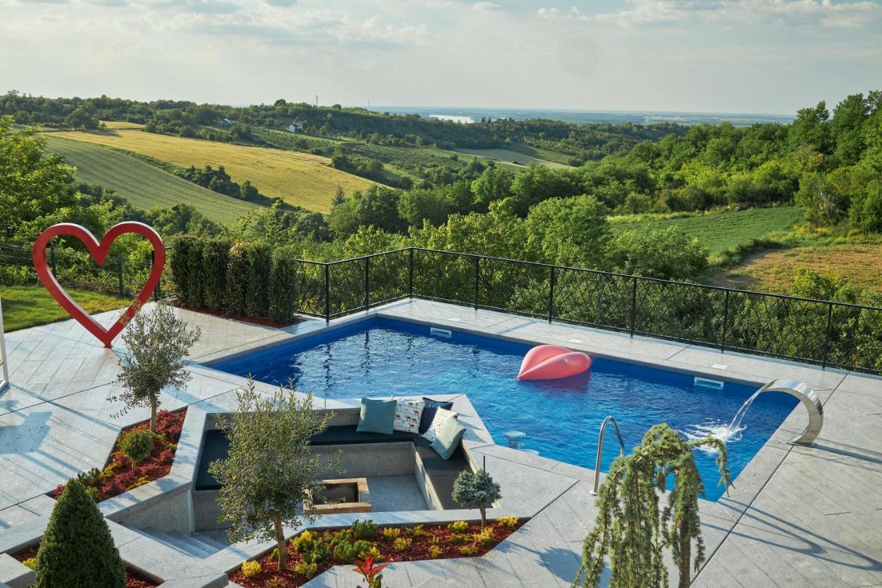 Riverside Pool Villa-Sremski Karlovci Bagian luar foto