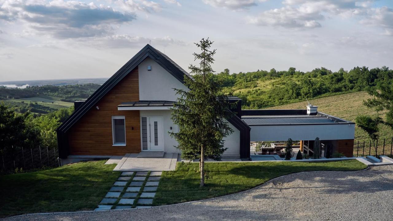 Riverside Pool Villa-Sremski Karlovci Bagian luar foto